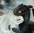 Dragon lovers by HamHam5