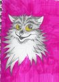 pussy doodles by w0rmy