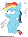 Rainbow Dash-SHED.MOV  by Thezacharymadness