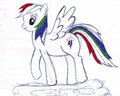 RainbowDash by dailfox