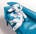 Blue Boxer Zangu Boy!