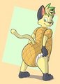 The Real PineApple Kitty