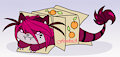 evil in the box