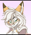 icon commission