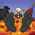 Kit Buried In Leaves Paw Icon