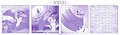 (Original Comic) DILF -XXVII-