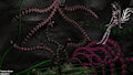 Tentacle Queen