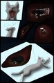 Kitty food