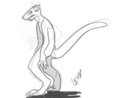 Charles Thrid Form Ferretdragon 