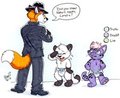 The case of the stolen spots