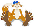 Fuwwyfootpaws by JollyVille SFW Version