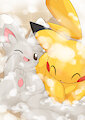 pikachu&minccino bathroom 1 by typegre