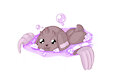 Lop bath