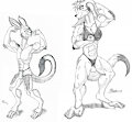 Radarr Commissions by JimFoxx14