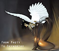 New Submission by Photy