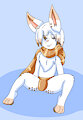 cute bunny