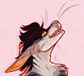 'Saca' gets his first icon :3 by SylasTempest