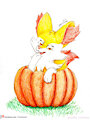 Dulce de calabaza