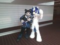AC 2012 -  Frost and Vinyl: Microscopic Coolness