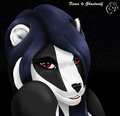 Fiona Black - Portrait