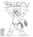 BRIEFS!