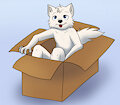 A Wolf in a Box by WolfeMan