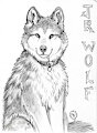 JR-Wolf at EF14