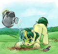 sprout