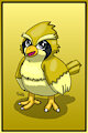 016-1 Pidgey