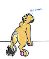 Lion's Tail at a Glance
