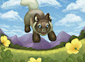 Field of Spring Arctic Fox by Uluri
