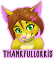 Lorris badge