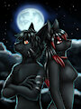 Nox, Blanket