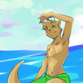 Otter