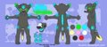 Shine -Anthro Reference- by ShineTheDrolf