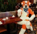 dog that drinks.  by Spooklemur