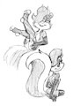 Fifi doodles