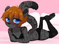 Kitten in black
