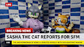 SFM Release: Sasha The Cat~