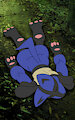 Lucario