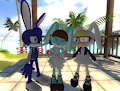 Bunny Family Photo by blazikenpwnsyou