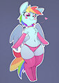 Dashie