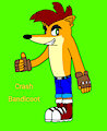 Crash Bandicoot