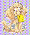 Sponge Retriever