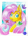 Gift: Birthday Fluttershy