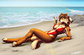 Beach Holiday