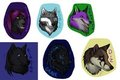 FAU5 Badges by SpartaDog