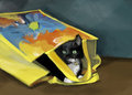 Kitty in a Bag by RedDyeNo5