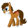 Me as Pony by RhysTheFur