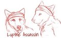 Wolf Sketches